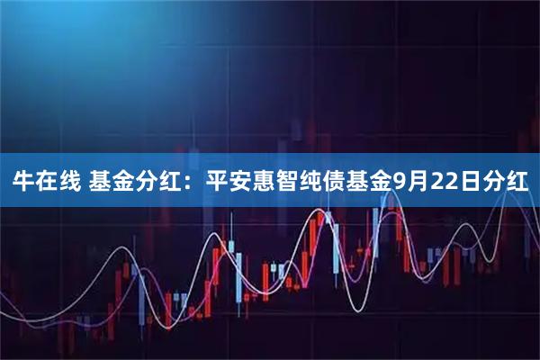 牛在线 基金分红：平安惠智纯债基金9月22日分红