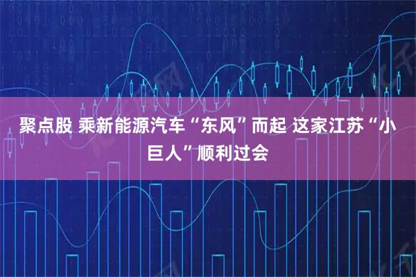 聚点股 乘新能源汽车“东风”而起 这家江苏“小巨人”顺利过会