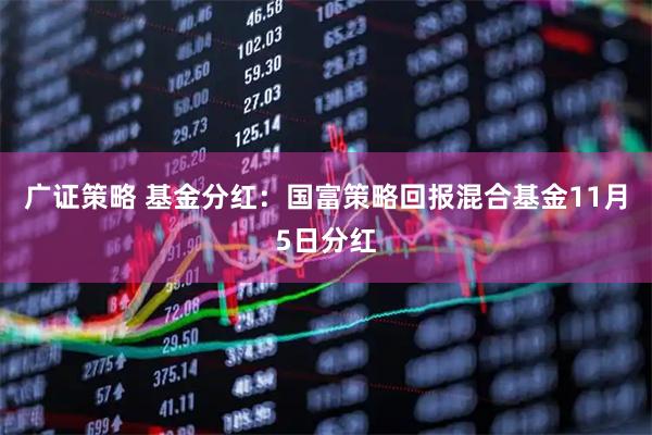 广证策略 基金分红：国富策略回报混合基金11月5日分红
