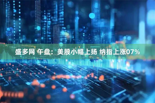 盛多网 午盘：美股小幅上扬 纳指上涨07%